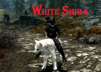 White Shiba
