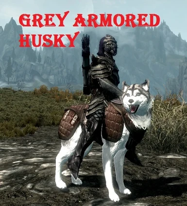 Grey Armored