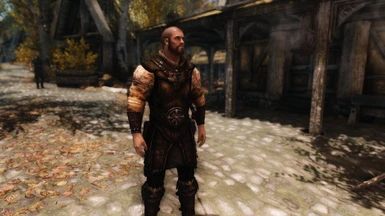 Great armor taken with SoS ENB 119 and CoT