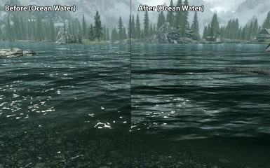 Immersive Water 3