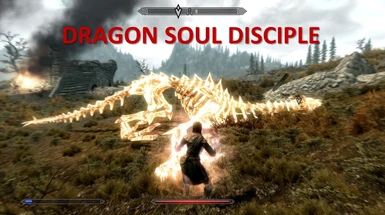 Dragon Soul Disciple