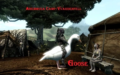 Goose in Morrowind