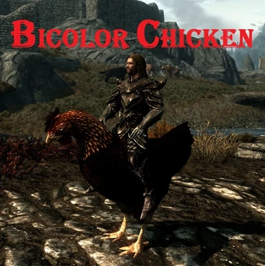 bicolor chicken
