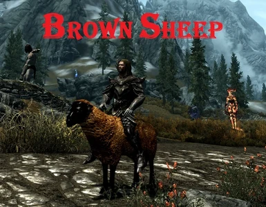 brown sheep