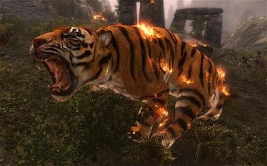 most awesome tiger ever