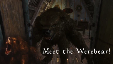 Meet The Werebear