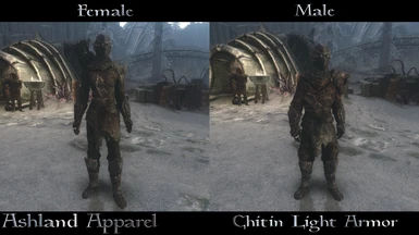 Chitin Light Armor