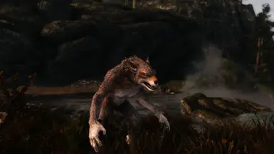 Nord Wolf-Blooded Race at Skyrim Nexus - Mods and Community