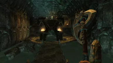 First-person view