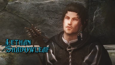 Lethan Shadowleaf - Half Elven Spellsword Male Follower - Companion