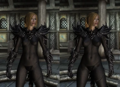 UNP armor replacer without BBP