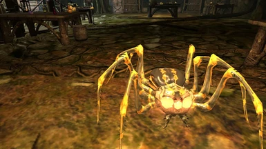 Arachne_Suco-Glowing Spider Follower_Pet