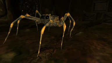 Pack Spider-A Carry Spider