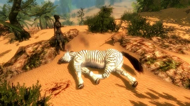 aww those lions are protecting that sleeping zebra