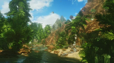 Tropisches Flusswald