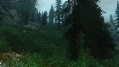 With SFO Summer and Summer Skyrim