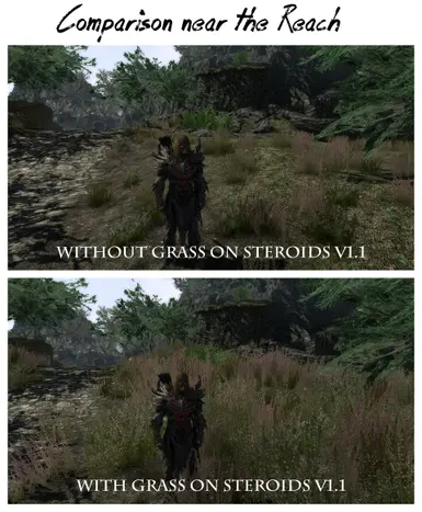 skyrim best performance grass mod