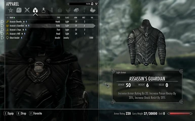 Assassins Guardian