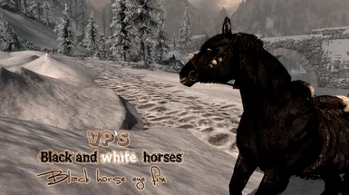 Black horse fixed eyes