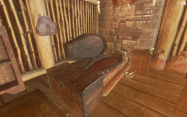 Vampire Coffin Module - Master Bedroom
