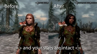 how to get mods in skyrim