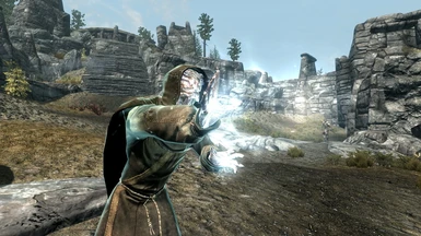 Argonian Bandit Mage clad in Green Robes