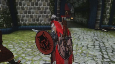 Solitude Guard with new shield in action