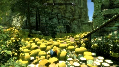 The dietary requirements of the average skyrim chicken- A F---TON of cheese