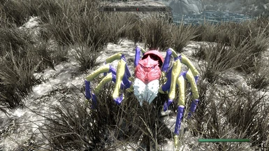 Ariados Frostbite Spider