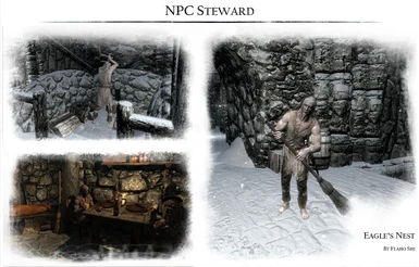 NPC Steward