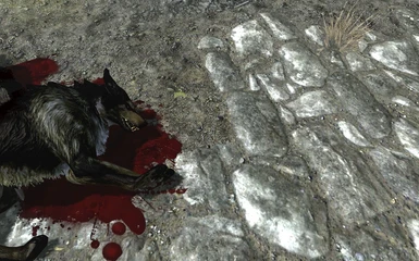 A Dead Black Wolf