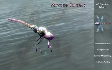 Sunrise Glider