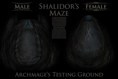 Shalidor Maze Detail