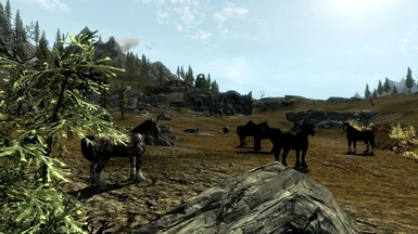 Wild horses just outside Whiterun with a castle in the background