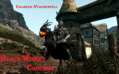 Black Winged Chocobo in Morrowind