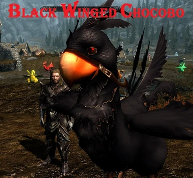 Black winged Chocobo