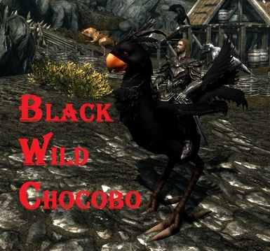 Black wild Chocobo