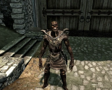 Male One-handed Draugr in Skyirm - Before
