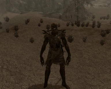 Male One-handed Draugr in Solstheim - Not changed