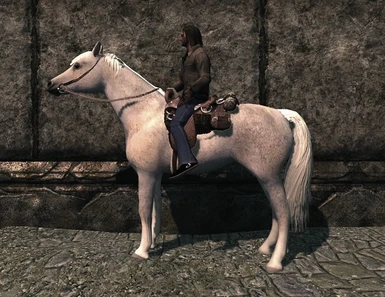 Modern Horse saddle and bridle
