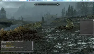 Skyrim Online