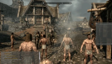 Players hanging out in whiterun during alpha