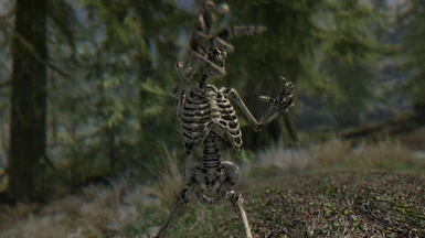 Skeleton grabs