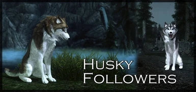 Husky Followers - v09