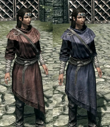Mage Master and Expert Robes replacer at Skyrim Nexus - Mods and Community