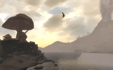 Cliff Racers on Solstheim