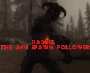 Radeel -The Ash Spawn Follower-