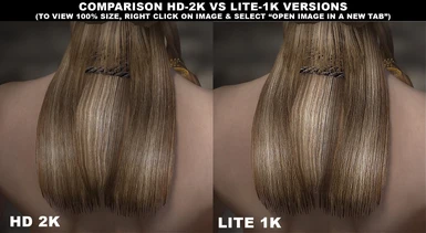 Detail Level Comparison HD 2K vs Lite 1K