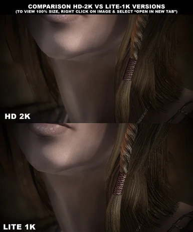 Detail Level Comparison HD 2K vs Lite 1K