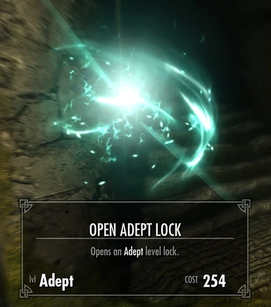 Leazers Open Lock 2_0